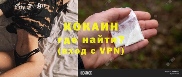 стаф Березники