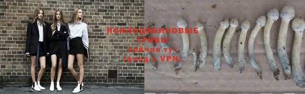 дурь Липки