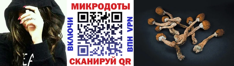 Псилоцибиновые грибы Psilocybe  как найти закладки  Братск 