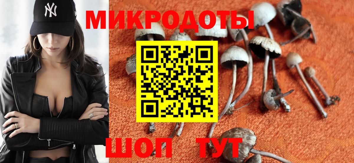 Галлюциногенные грибы мицелий  Братск 