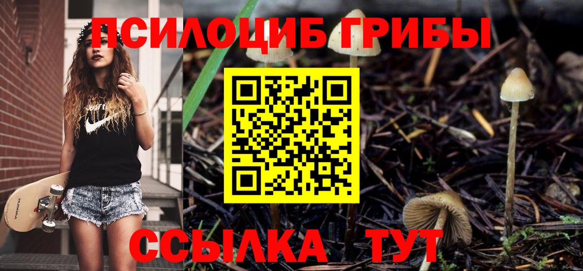 Галлюциногенные грибы ЛСД Братск