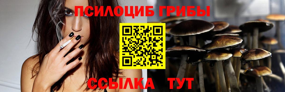 Братск  Псилоцибиновые грибы Psilocybine cubensis  Вход с VPN  Псилоцибиновые грибы GOLDEN TEACHER 